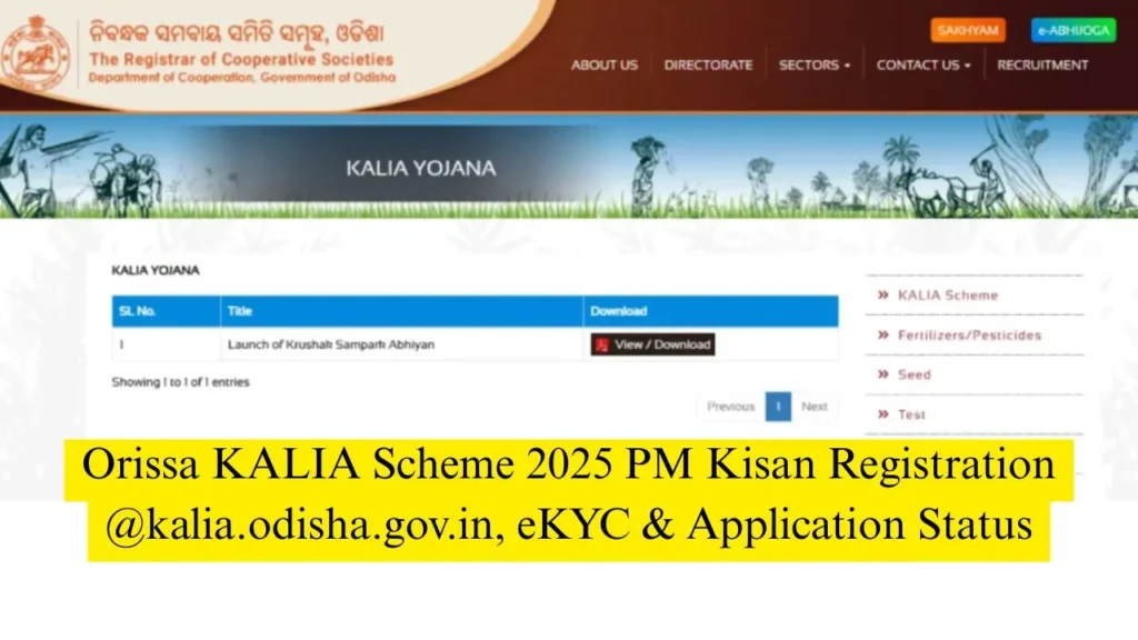 Odisha KALIA Scheme 2025
